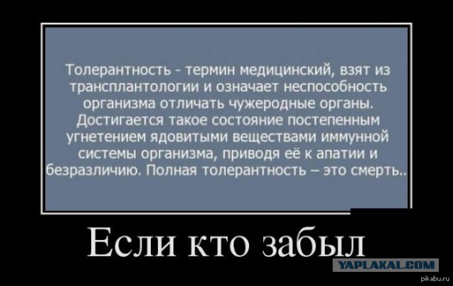 Толерантность придумали педерасты!