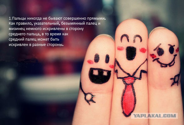 Интересные факты о разном
