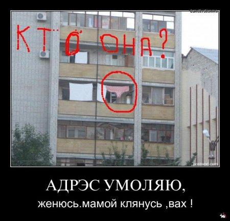 Веселые картинки