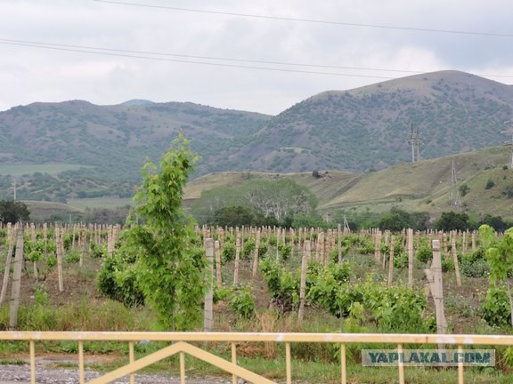 Крым наш!