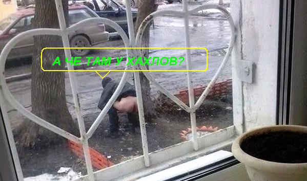 В Кирове мужчина справил нужду на Вечный огонь