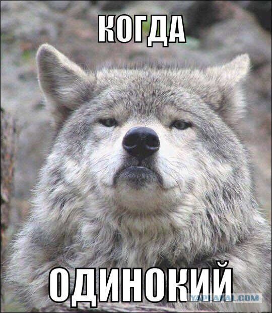 Придет серенький волчок