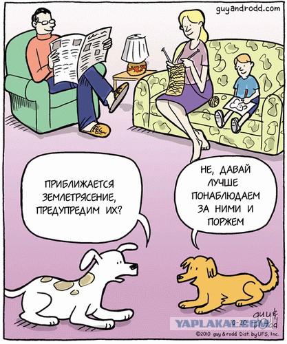В Турции произошло землетрясение