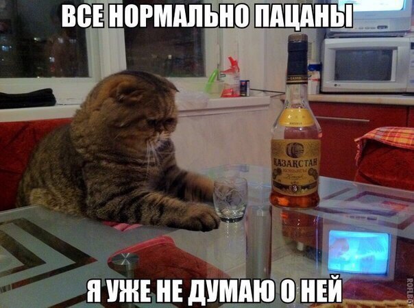 Прикольные картинки