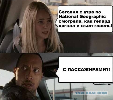 Забавные картинки из Сети