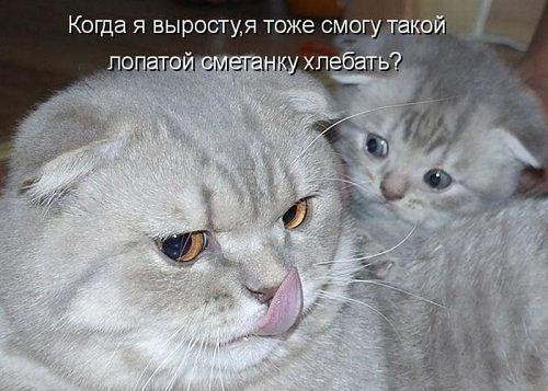 Картинки на утро вторника