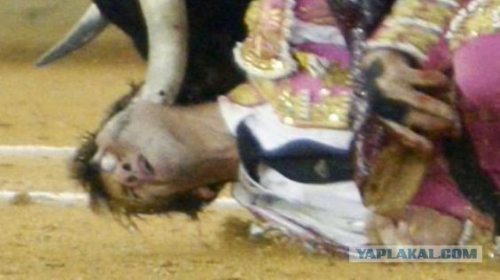 Поцелуй Иуды