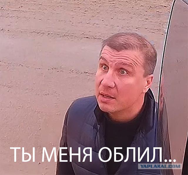 Два горячих горца встретились на светофоре в Петербурге