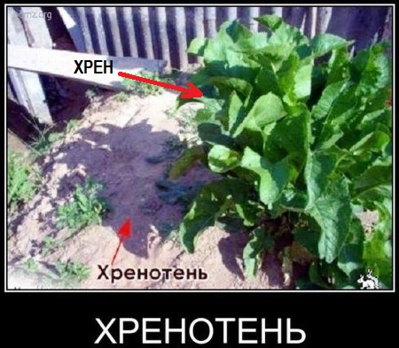 Абсурдный юмор ч.7