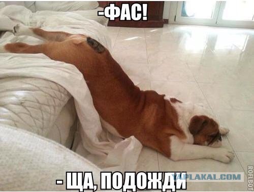 Картинки из ваших этих итернетов...2