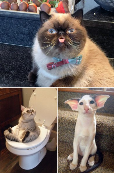 Подборка картинок на среду