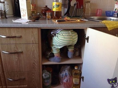 Картинки из сети