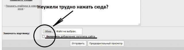 «Алые паруса» в Санкт- Петербурге 2016