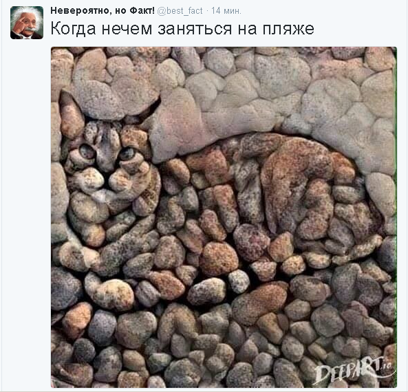 Смешные комментарии 01.08.2016