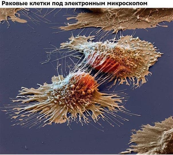 Картинки для отдыха глаз