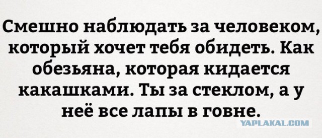 Подборка самых смищных картинков из интернетов