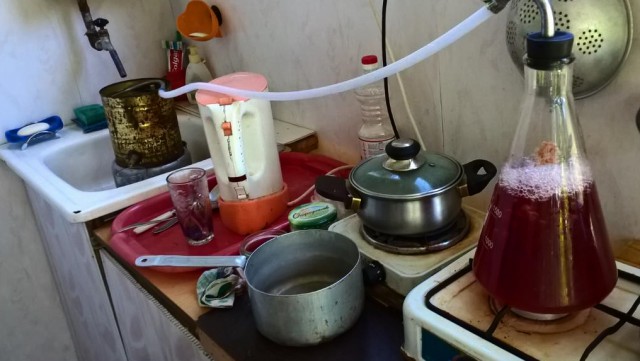 Как стать самогонщиком в современной России