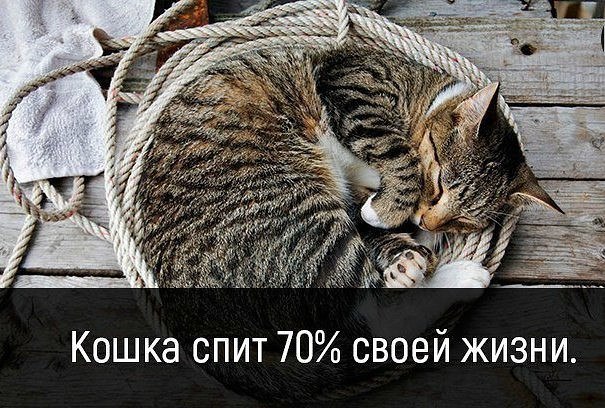 Разные картинки из сети