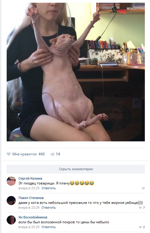Ужасы и приколы из соцсетей 18+