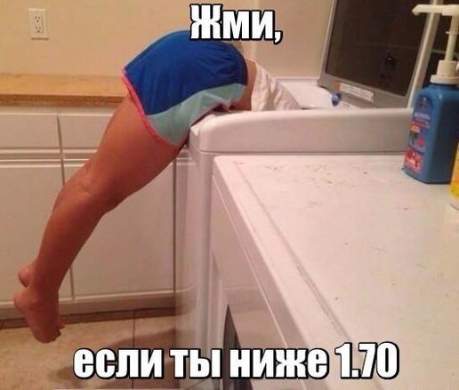 Подборка безудержного веселья