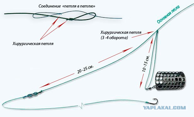 Рыбалки пост, или фидер любимая снасть