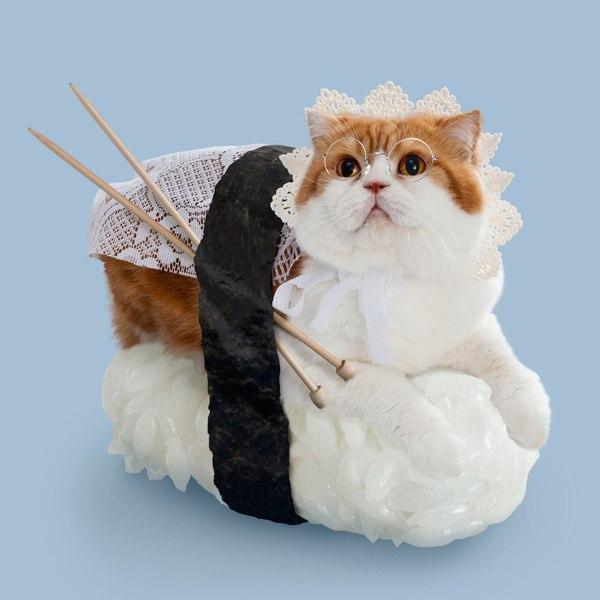 Коты и Кошки