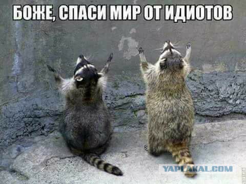 "Один сосок, второй сосок, между зубов застрял волосок"...