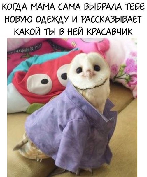 Картинки с надписями для настроения