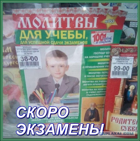 Смешные объявления, надписи и вывески