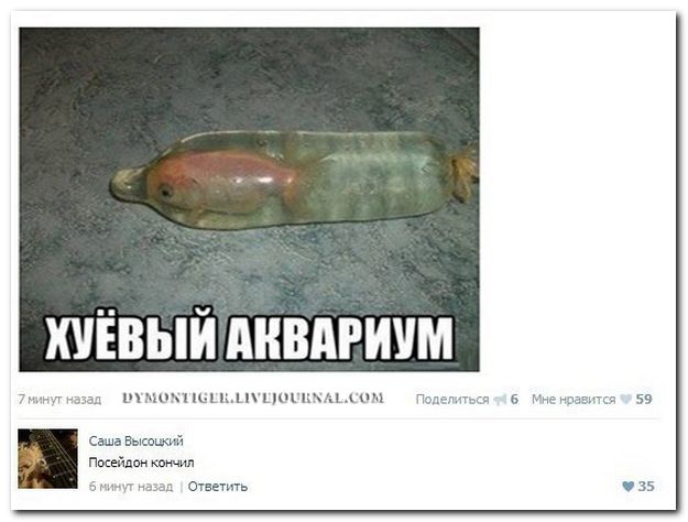 Смешные комментарии из социальных сетей