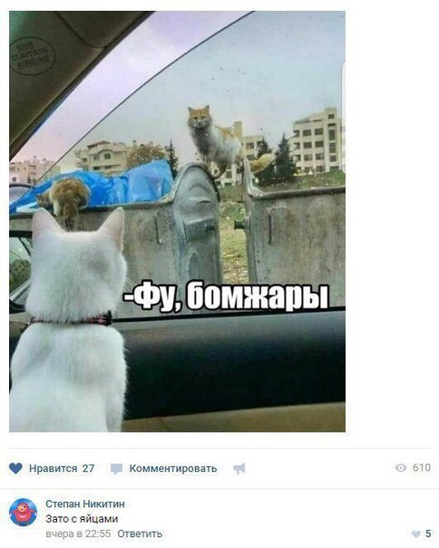 Не очень адекватный юмор