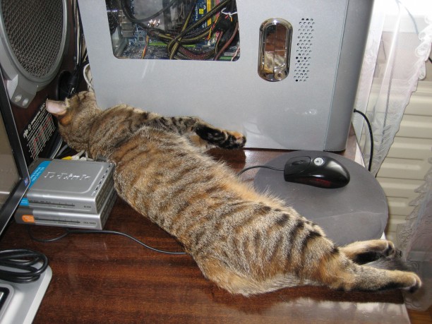 КОТовторник 13.04.2010г.