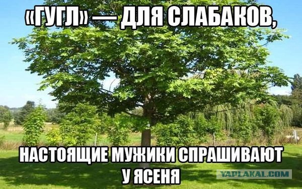 Петров и Боширов ответили в интервью на все вопросы о деле Скрипалей, заявила Симоньян