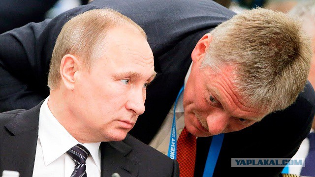 Татьяна Навка стала владелицей крупного пакета акций подрядчика ГУП «Крымавтодор»