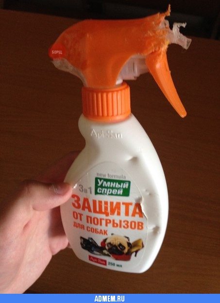 Свежие мемы и демотиваторы