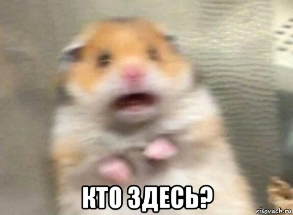 Дорогие борцы с режимом, старайтесь больше времени уделять учебе и работе.