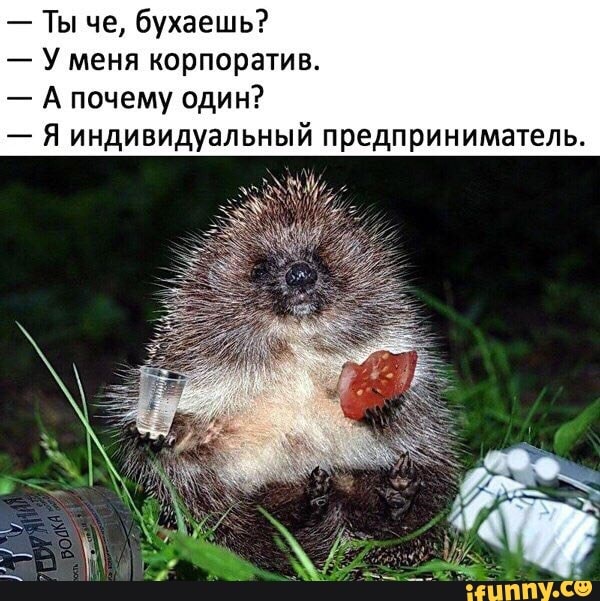 Применим физику в постели или белка и стрелка. Картинки