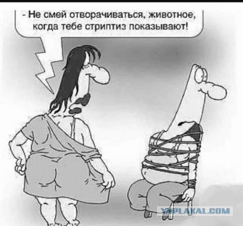 Понедельник пикчерс