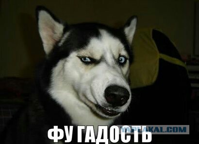 Видишь - и срочно хочется откормить булочками со сгущенкой. Блогерша из Сибири бравирует своими костями