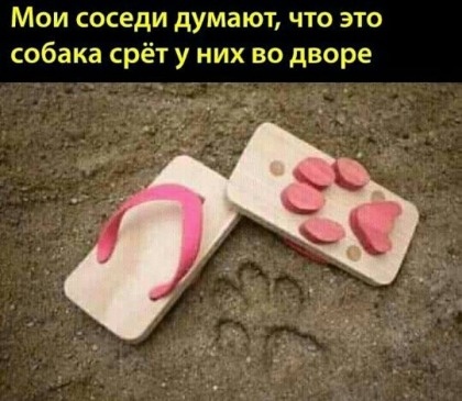 Немного картинок для настроения 11.12.19