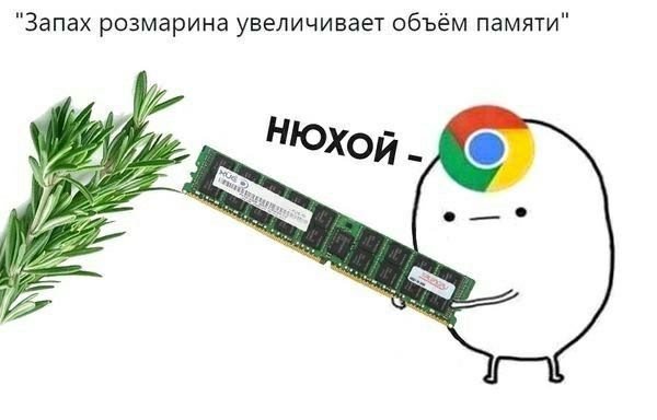 Ничего особенного, просто Google Chrome занял 1025 гигабайт оперативной памяти на Mac Pro