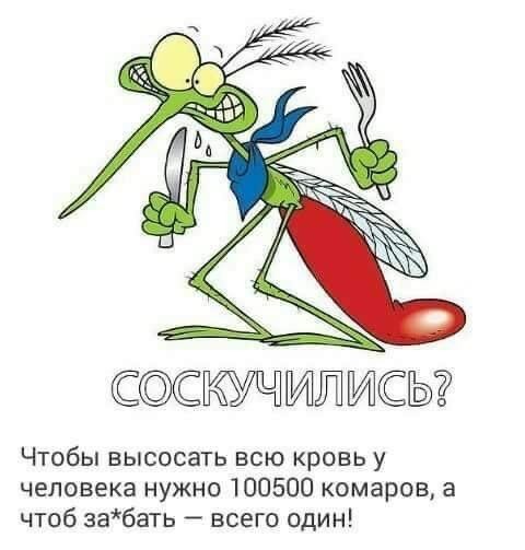 14382849.jpg