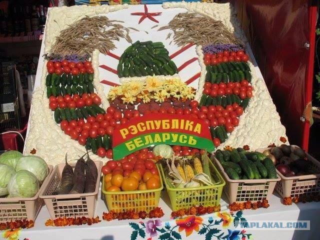 Студия Лебедева забабахала новый герб Беларуси: с картошкой, цветами, трактором и котиком