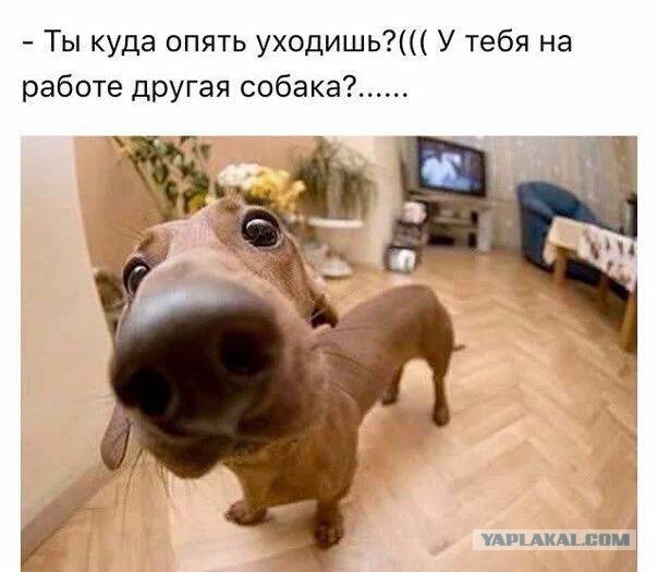 Не очень адекватный юмор