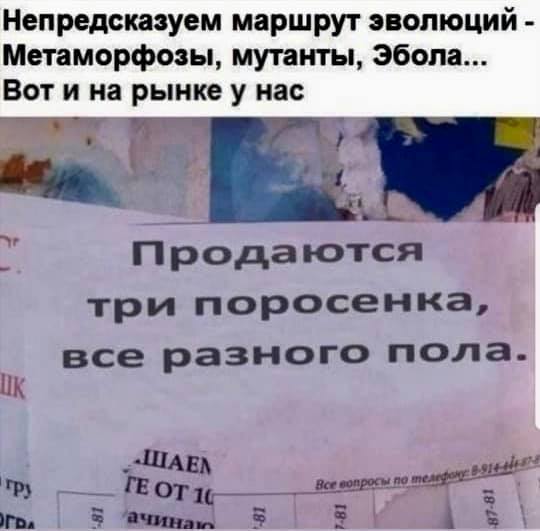 Немного картинок для настроения 19.08.20