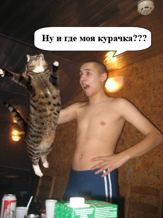 Доброе утро