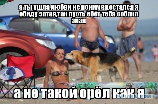 Счетчик на растяжке
