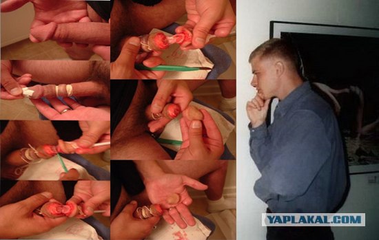 Фотожаба: Молодой ценитель