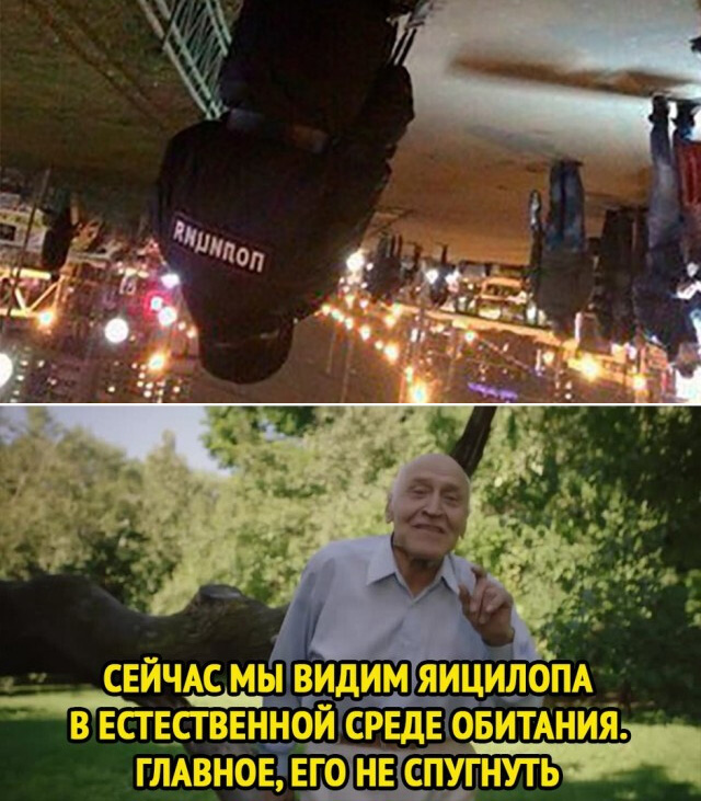 Фотки и картинки: юморные и красивые, забавные и милые 09.11.20