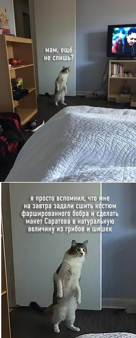 Прикольные и просто красивые картинки 22.12.2020